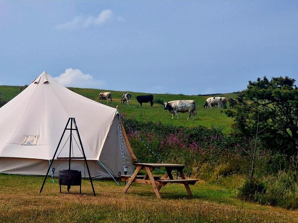 Beautiful 1-Bed Bell Tent In Holyhead Buitenkant foto